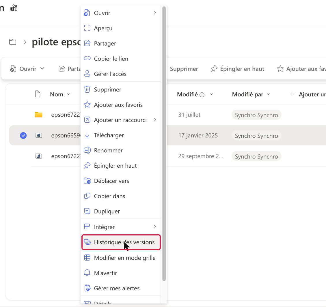 Menu d'un fichier : Historique des versions